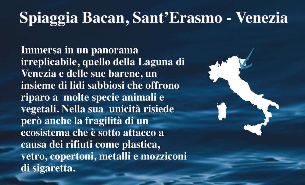 blue friday week seay spiaggia bacan